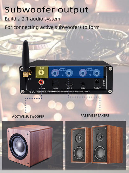 DA10 HI-FI Audio StereoDSP Amplificateur entièrement numérique 